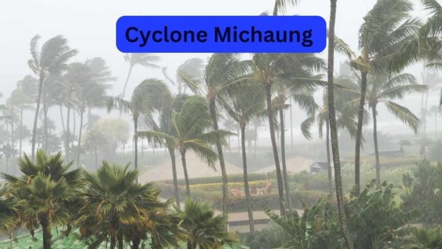 Cyclone Michaung Live